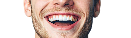 Teeth